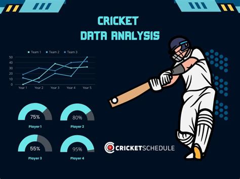 Analyzing Cricket Statistics: What You Need To Know