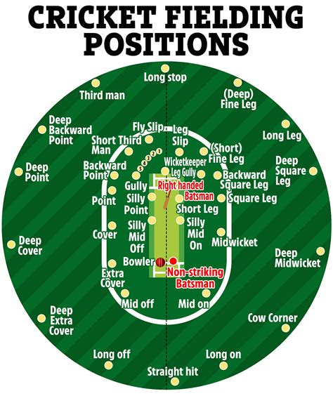 Cricket Field Positions And Their Significance