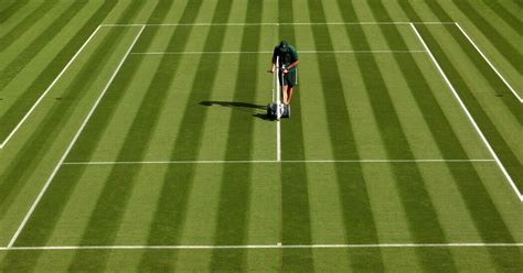 Exploring The Challenge Of Playing On Grass Courts