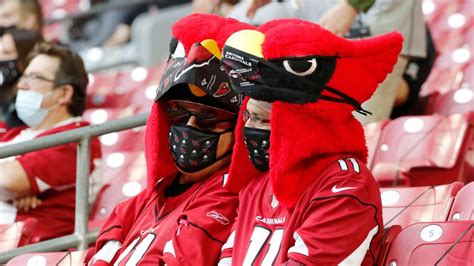 Fan Gear Guide For Arizona Cardinals @ Miami Dolphins