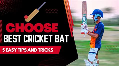 How To Choose The Right Cricket Bat For Your Game