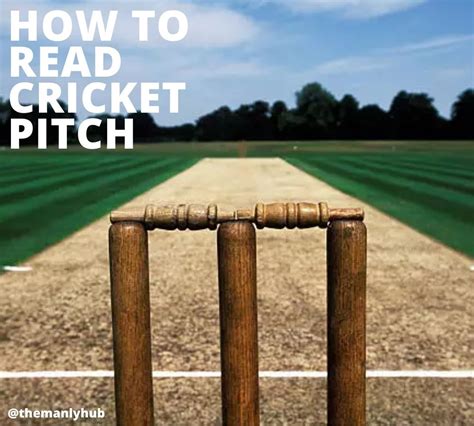 How To Read A Cricket Pitch