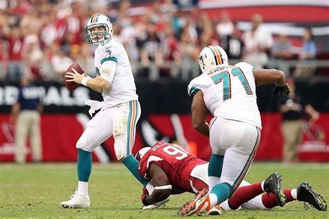 The Importance Of Community Support For Arizona Cardinals And Miami Dolphins