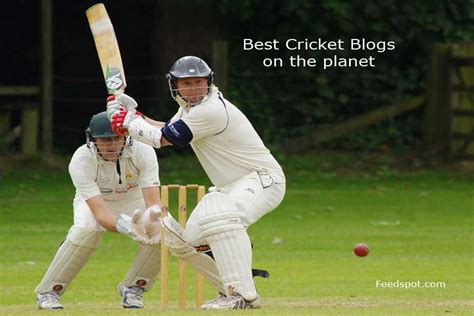 Top Cricket Blogs To Follow For Enthusiasts