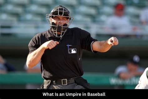 Understanding The Role Of The Umpire In Baseball