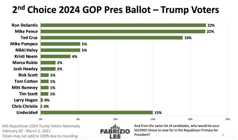 Exploring The 2024 Presidential Vote: A Closer Look