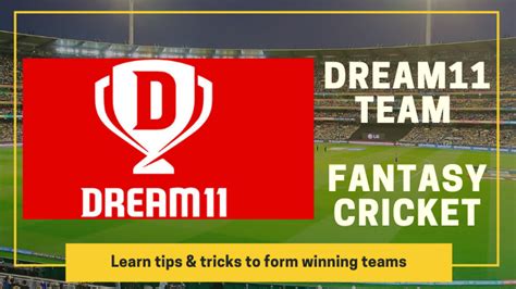 Fantasy Cricket: Tips for Building Your Winning Team