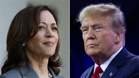 Trump Vs Harris Polls: Examining The Political Clash