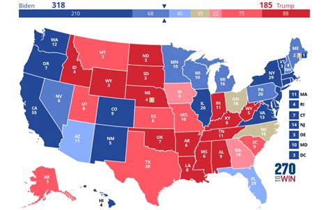 Understanding The 2024 U.S. Election Dynamics